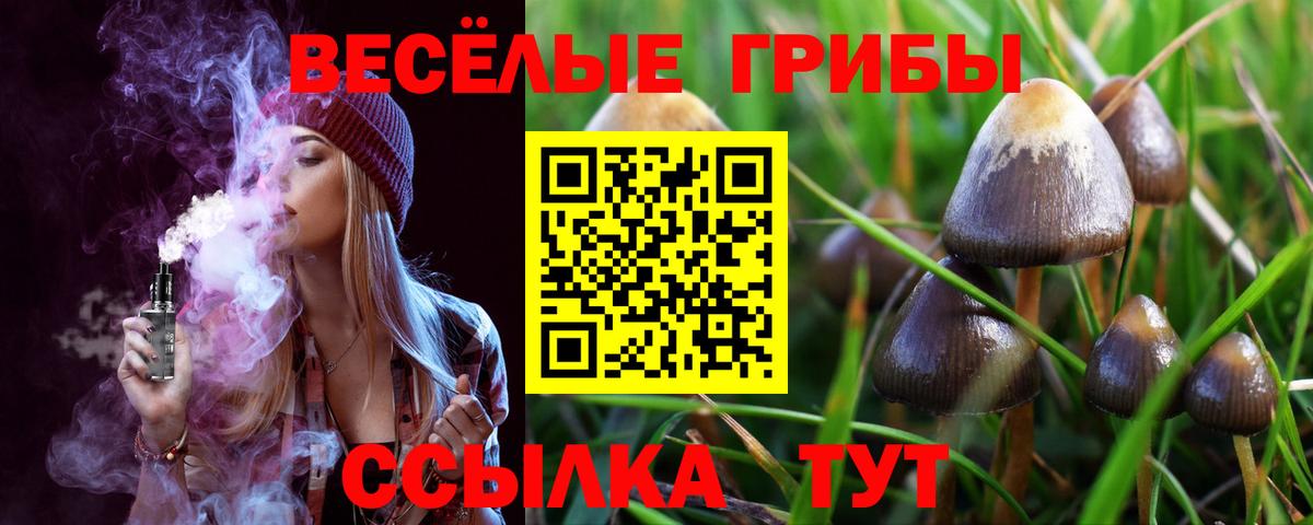 Псилоцибиновые грибы Psilocybe  Вход с VPN  Красноперекопск 
